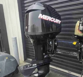 Buy 2009 Mercury 75 HP Engine